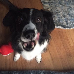 Meet your Posher, Anna-claire